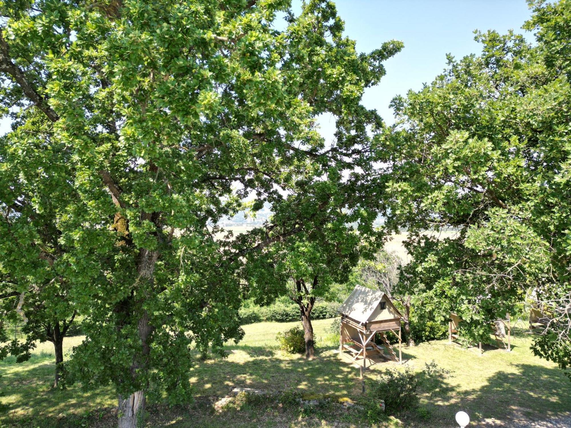 Camping Domaine De Senaud Альбон Екстер'єр фото